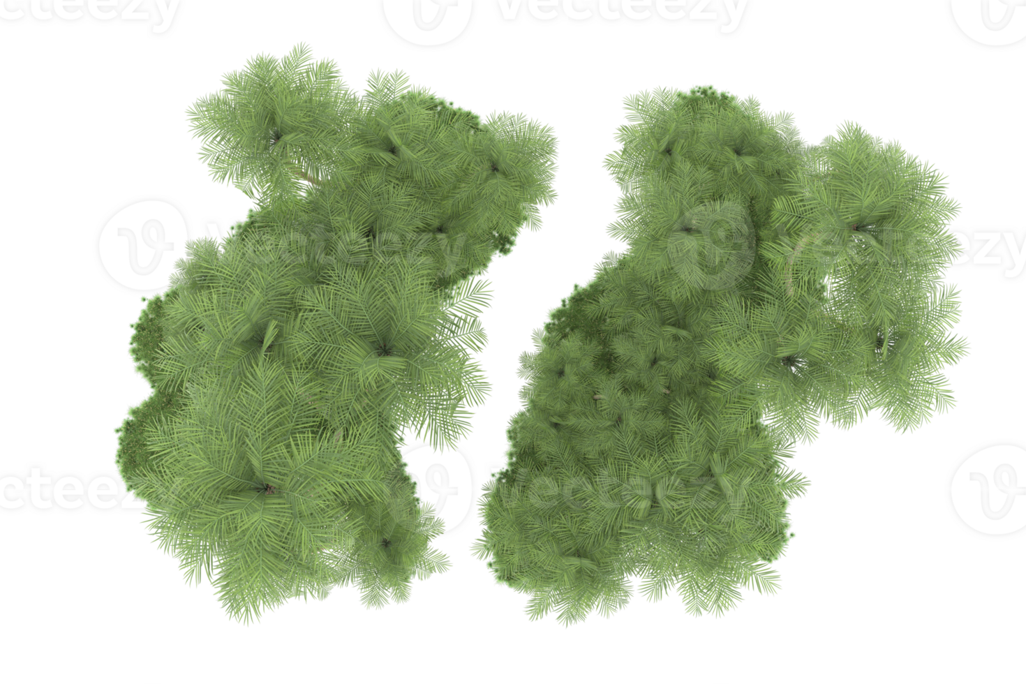 Realistic forest isolated on transparent background. 3d rendering - illustration png