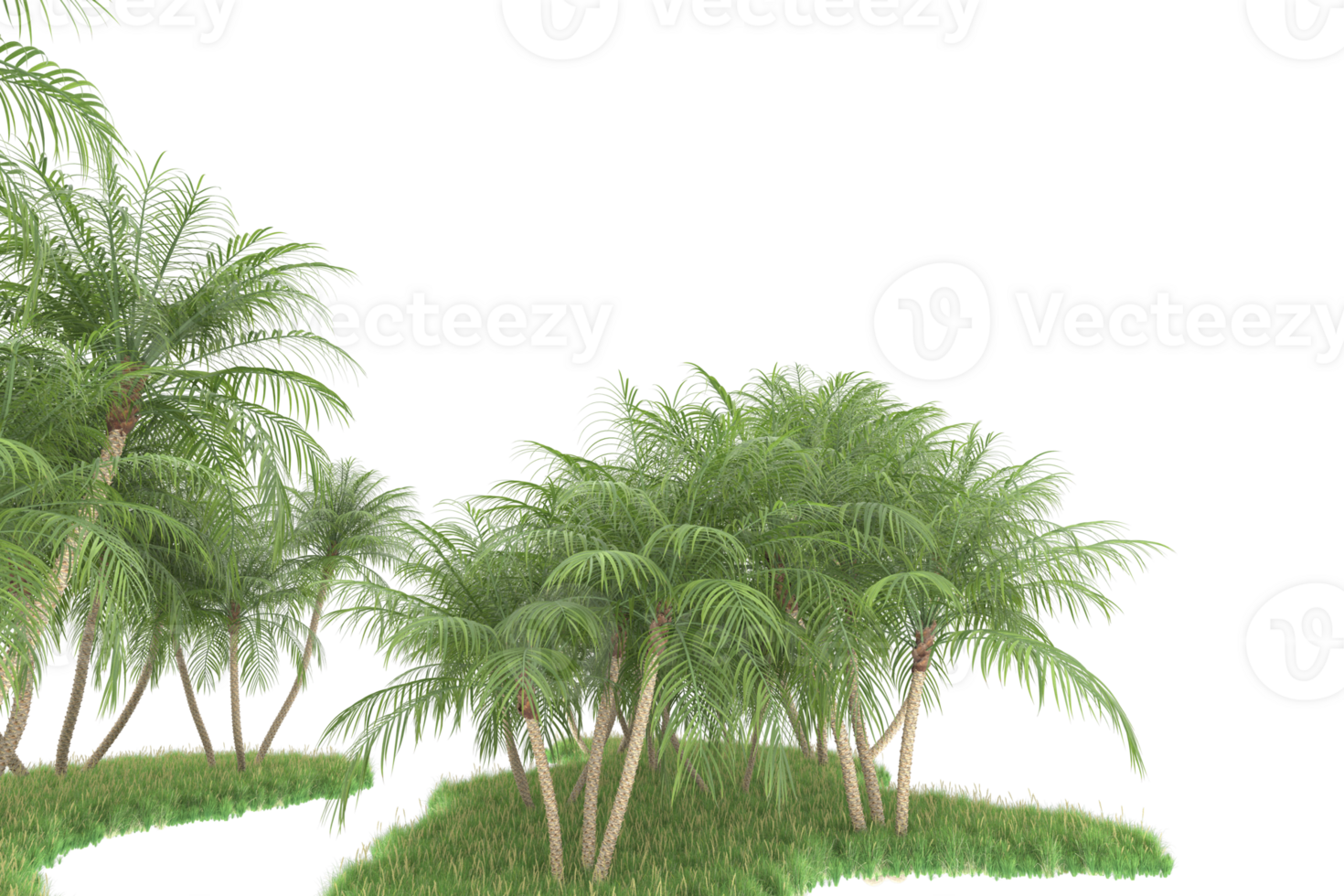 Realistic forest isolated on transparent background. 3d rendering - illustration png