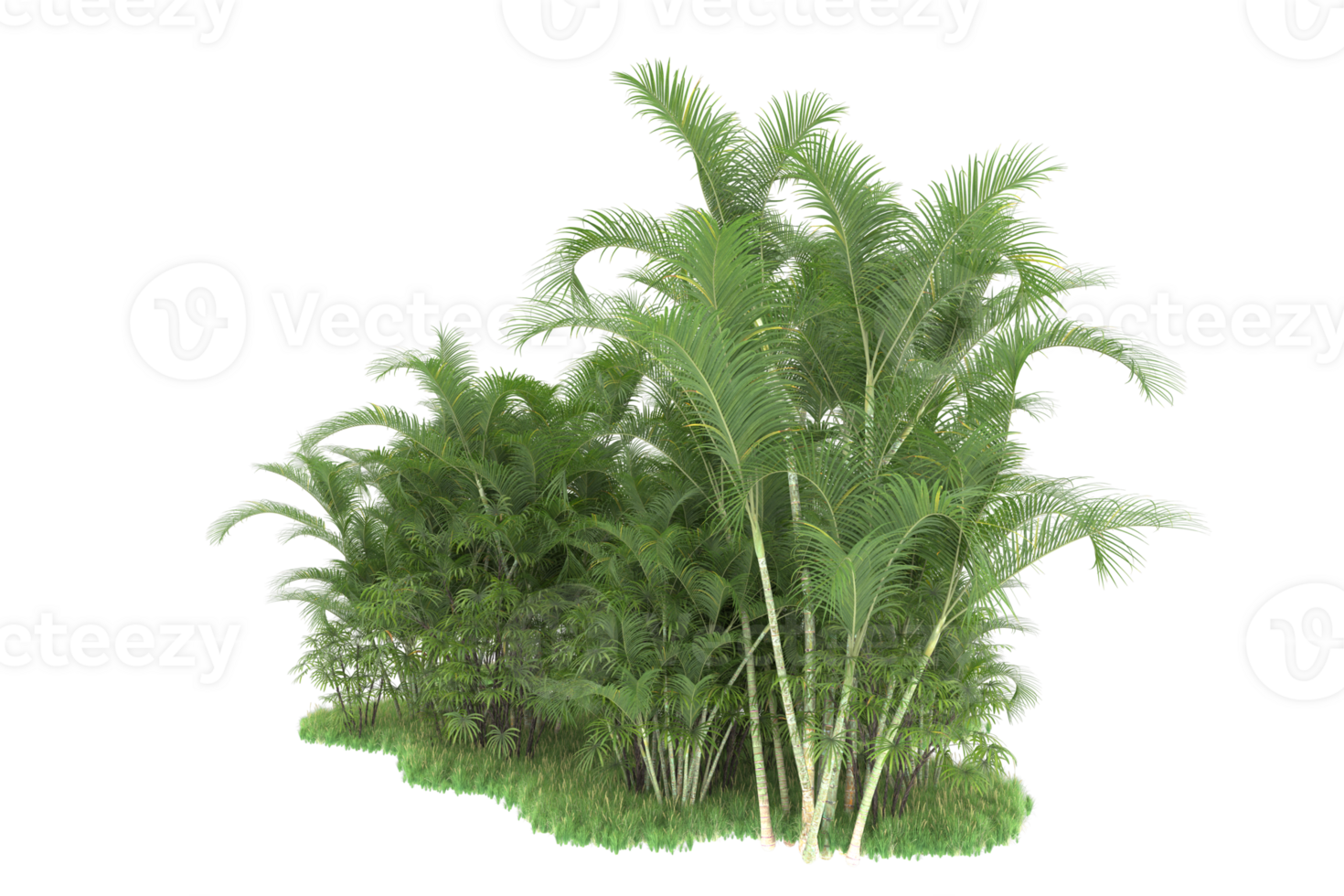 Realistic forest isolated on transparent background. 3d rendering - illustration png
