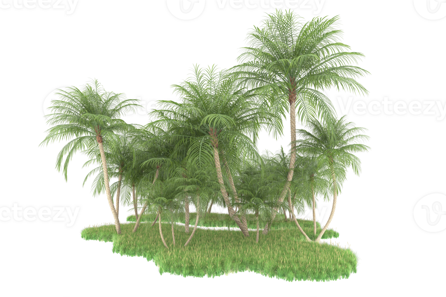 Realistic forest isolated on transparent background. 3d rendering - illustration png