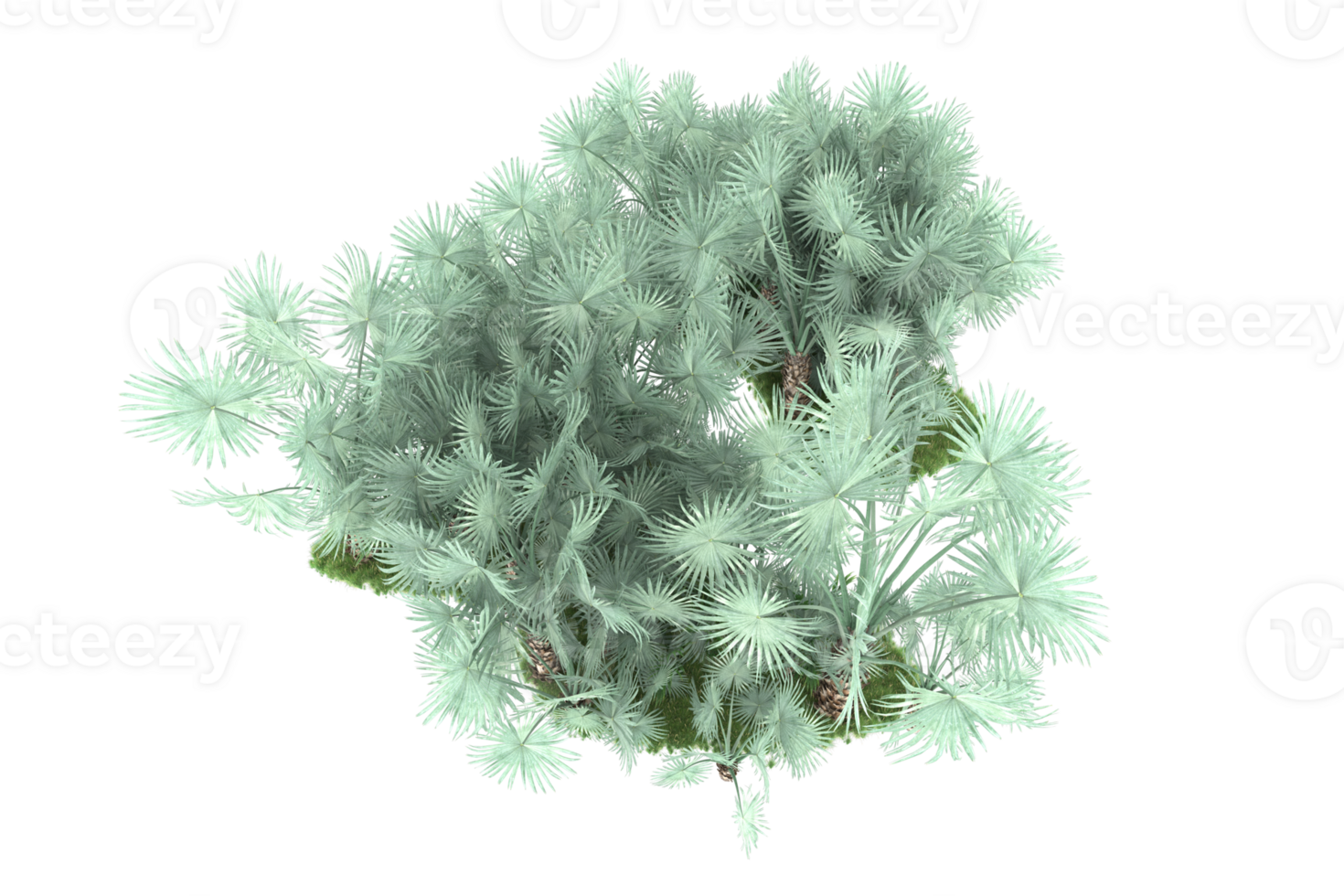 Realistic forest isolated on transparent background. 3d rendering - illustration png