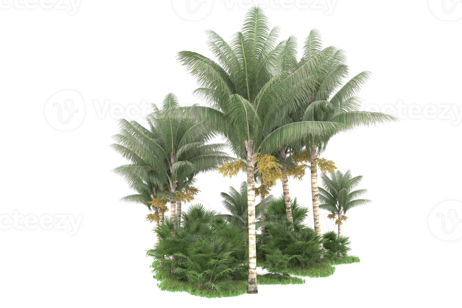 Realistic forest isolated on transparent background. 3d rendering - illustration png