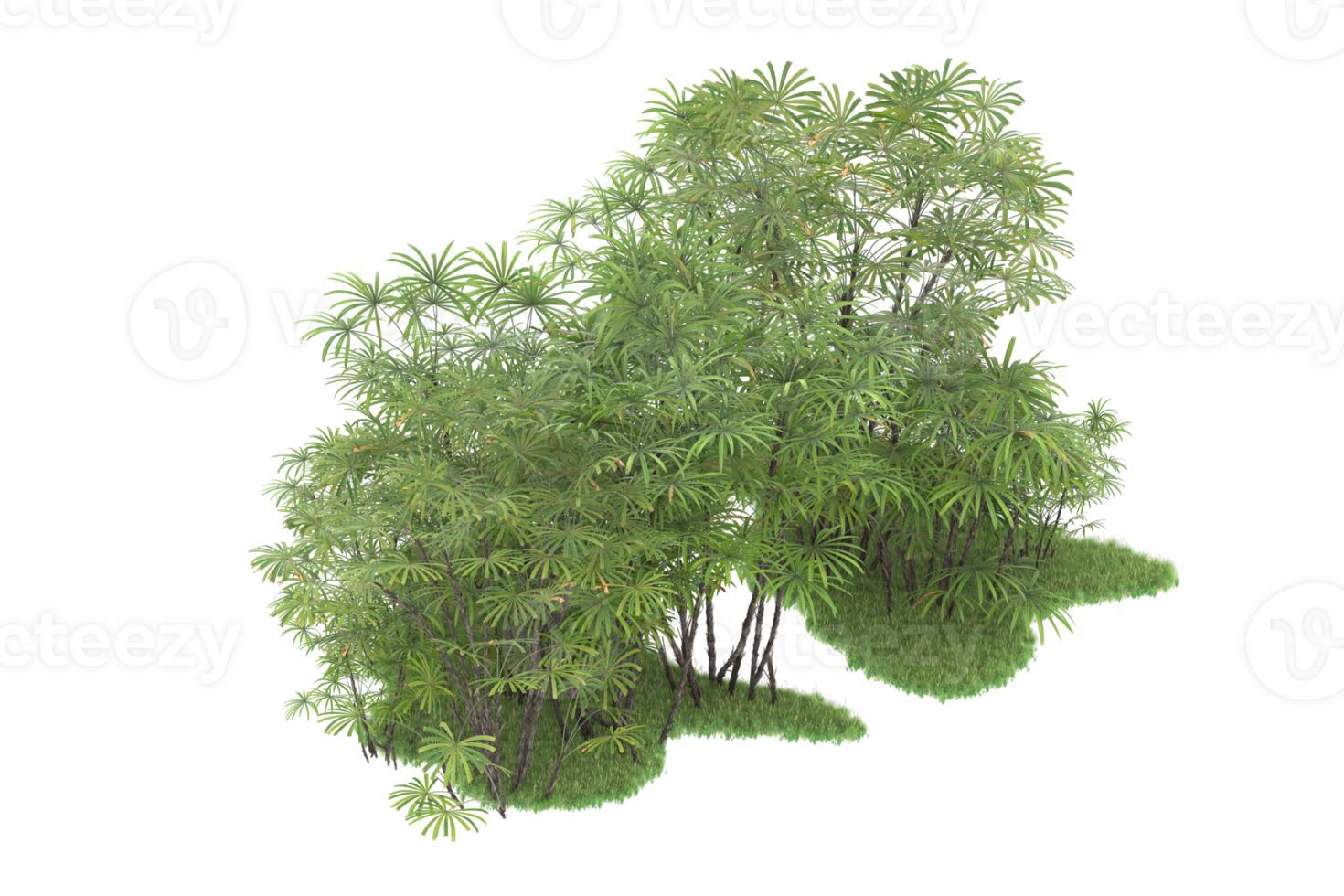 Realistic forest isolated on transparent background. 3d rendering - illustration png