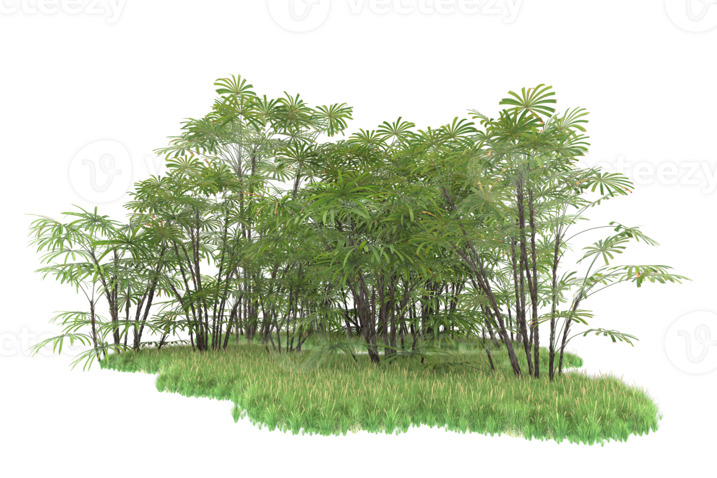 Realistic forest isolated on transparent background. 3d rendering - illustration png
