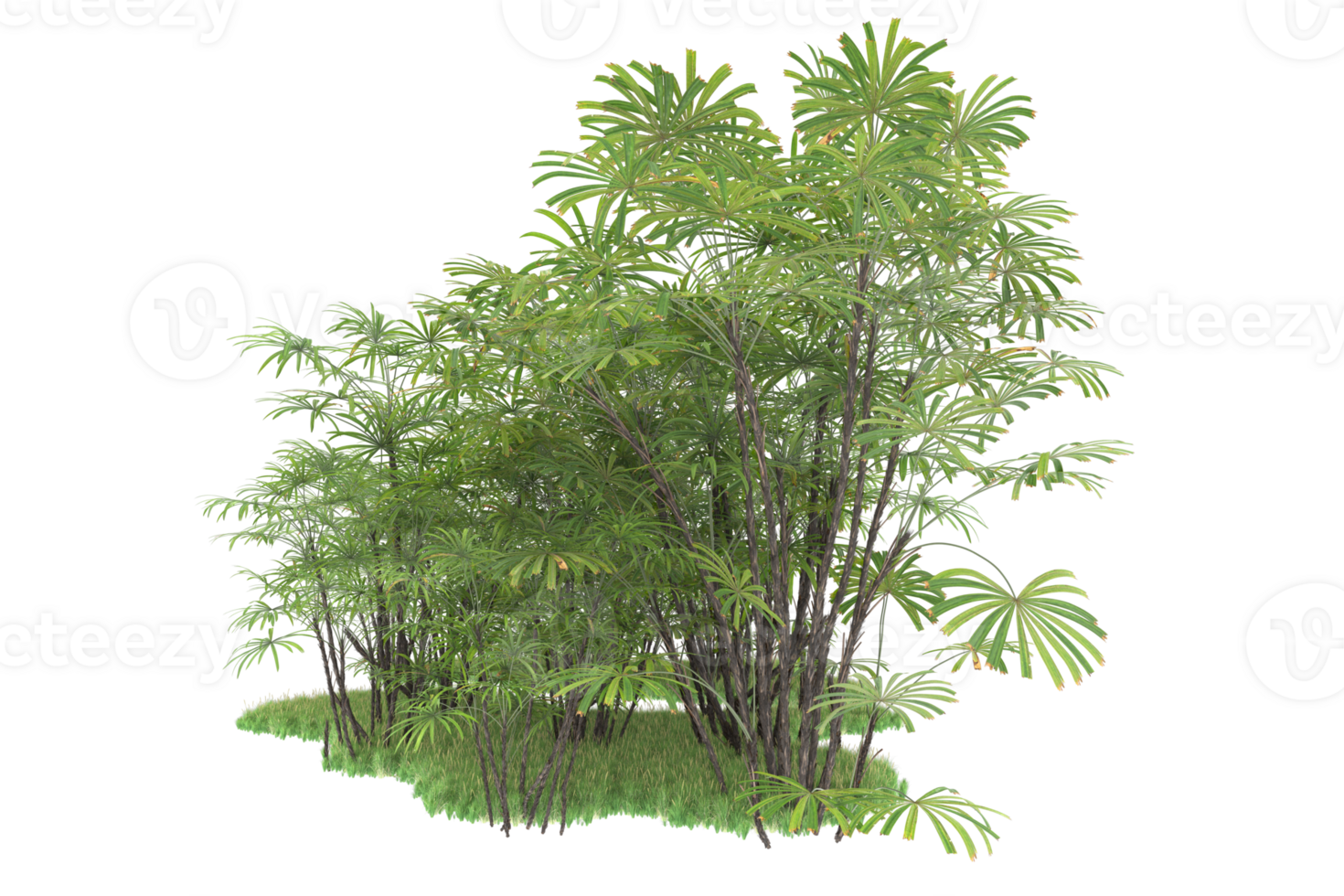 Realistic forest isolated on transparent background. 3d rendering - illustration png