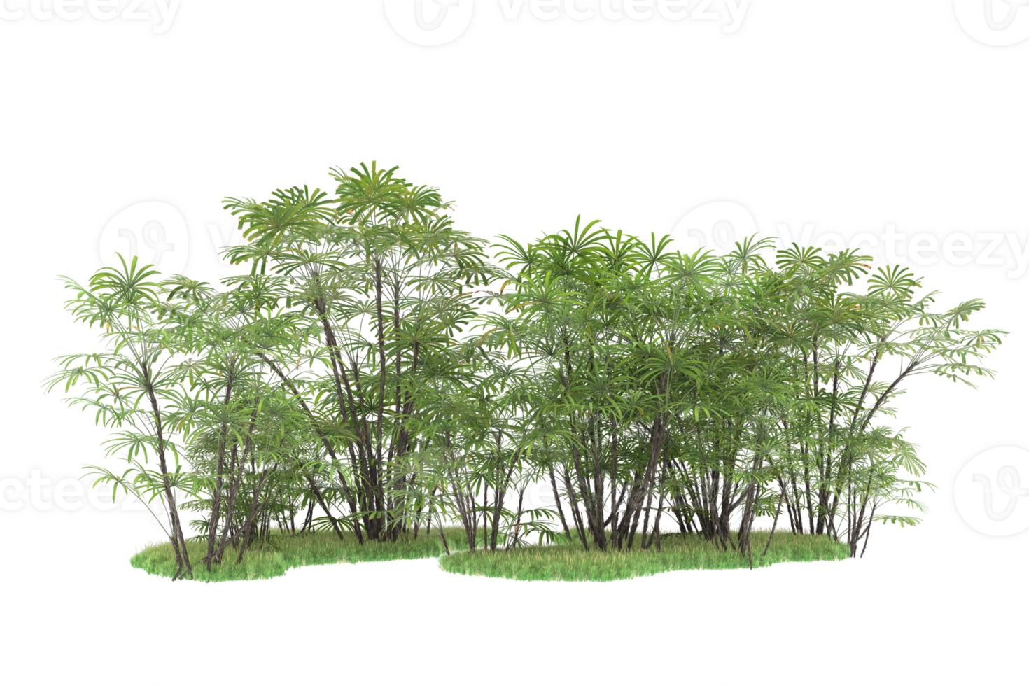 Realistic forest isolated on transparent background. 3d rendering - illustration png