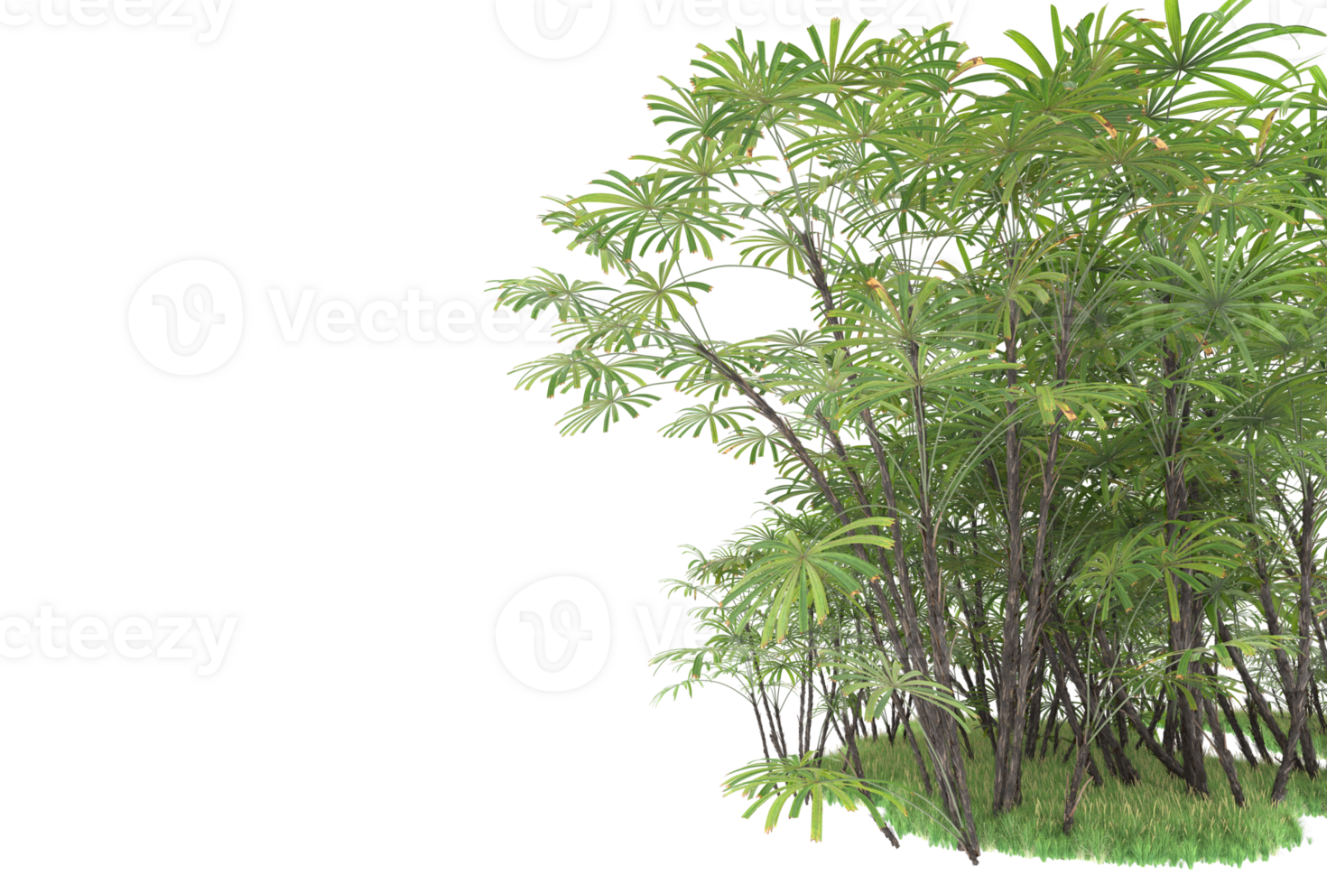 Realistic forest isolated on transparent background. 3d rendering - illustration png