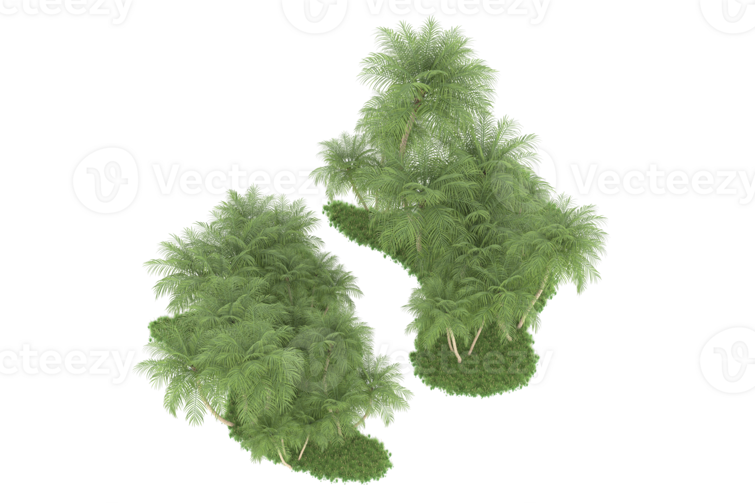 Realistic forest isolated on transparent background. 3d rendering - illustration png