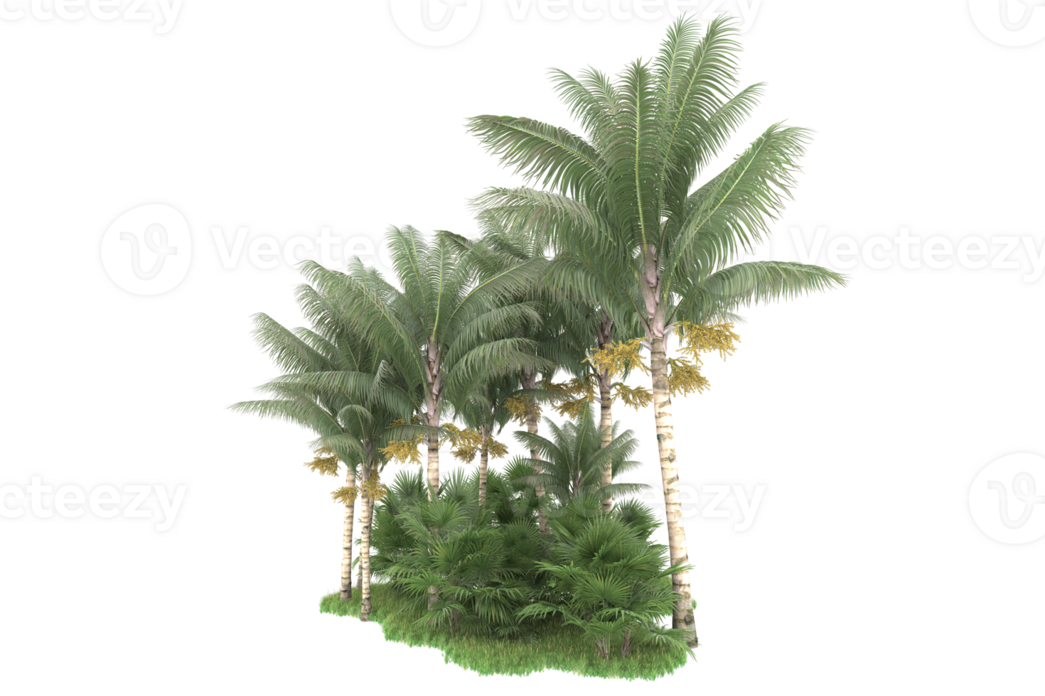 Realistic forest isolated on transparent background. 3d rendering - illustration png