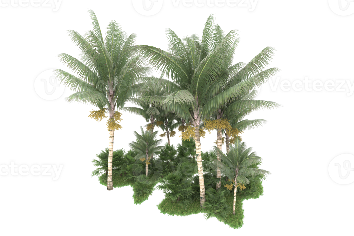 Realistic forest isolated on transparent background. 3d rendering - illustration png