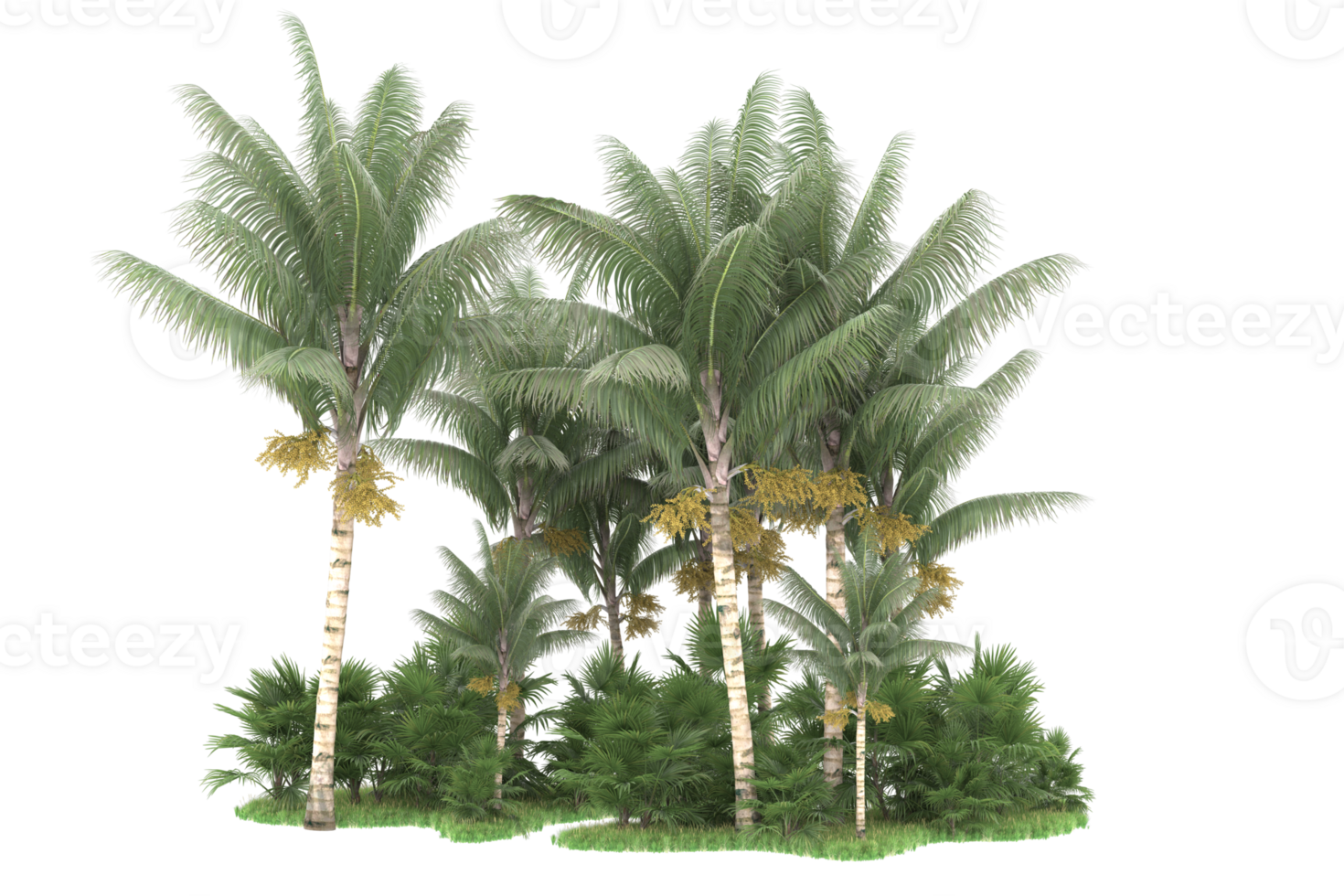 Realistic forest isolated on transparent background. 3d rendering - illustration png