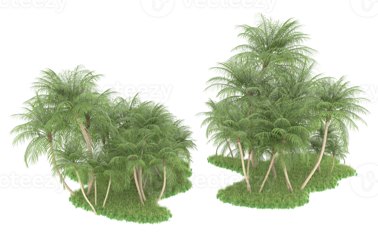 Realistic forest isolated on transparent background. 3d rendering - illustration png