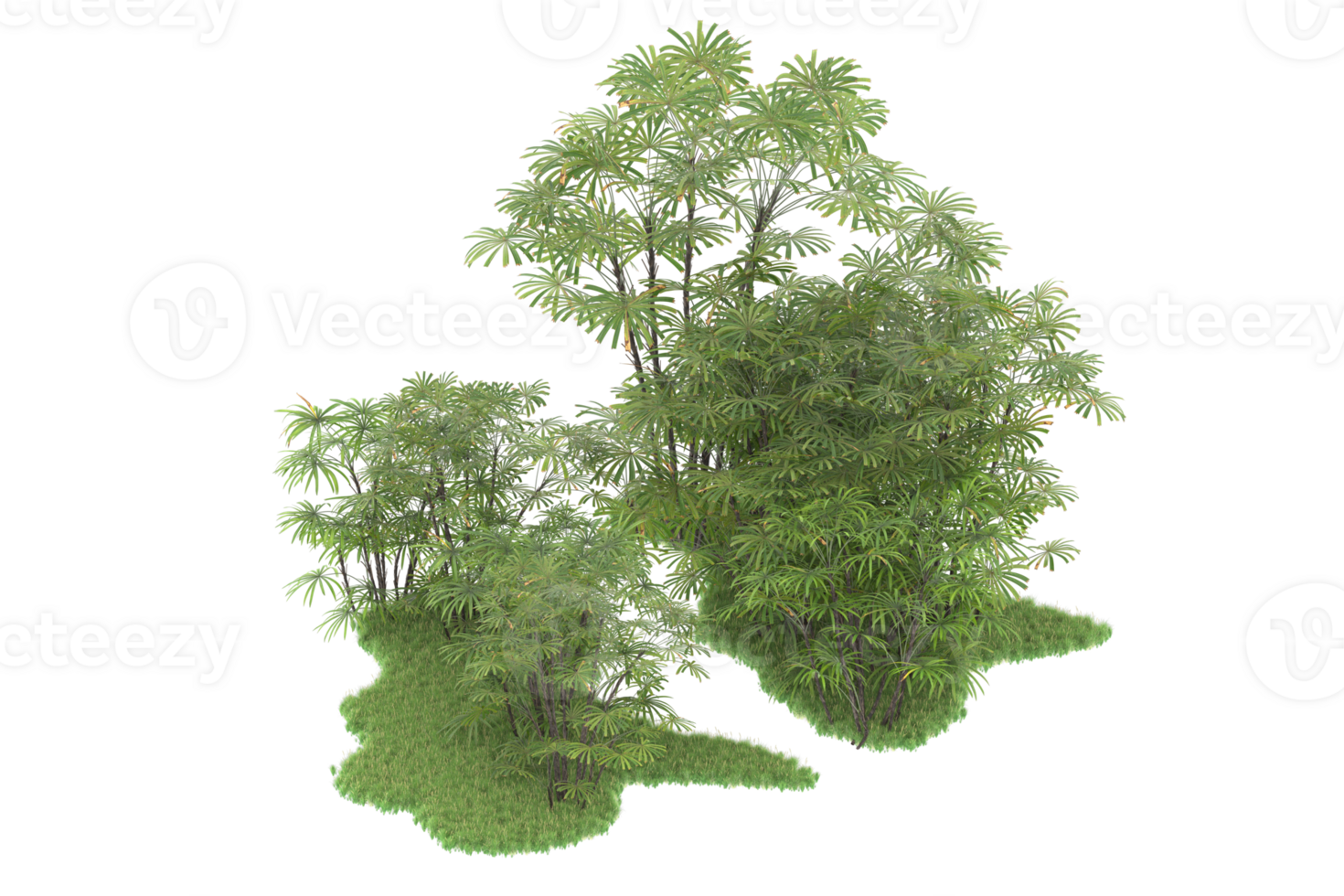 Realistic forest isolated on transparent background. 3d rendering - illustration png