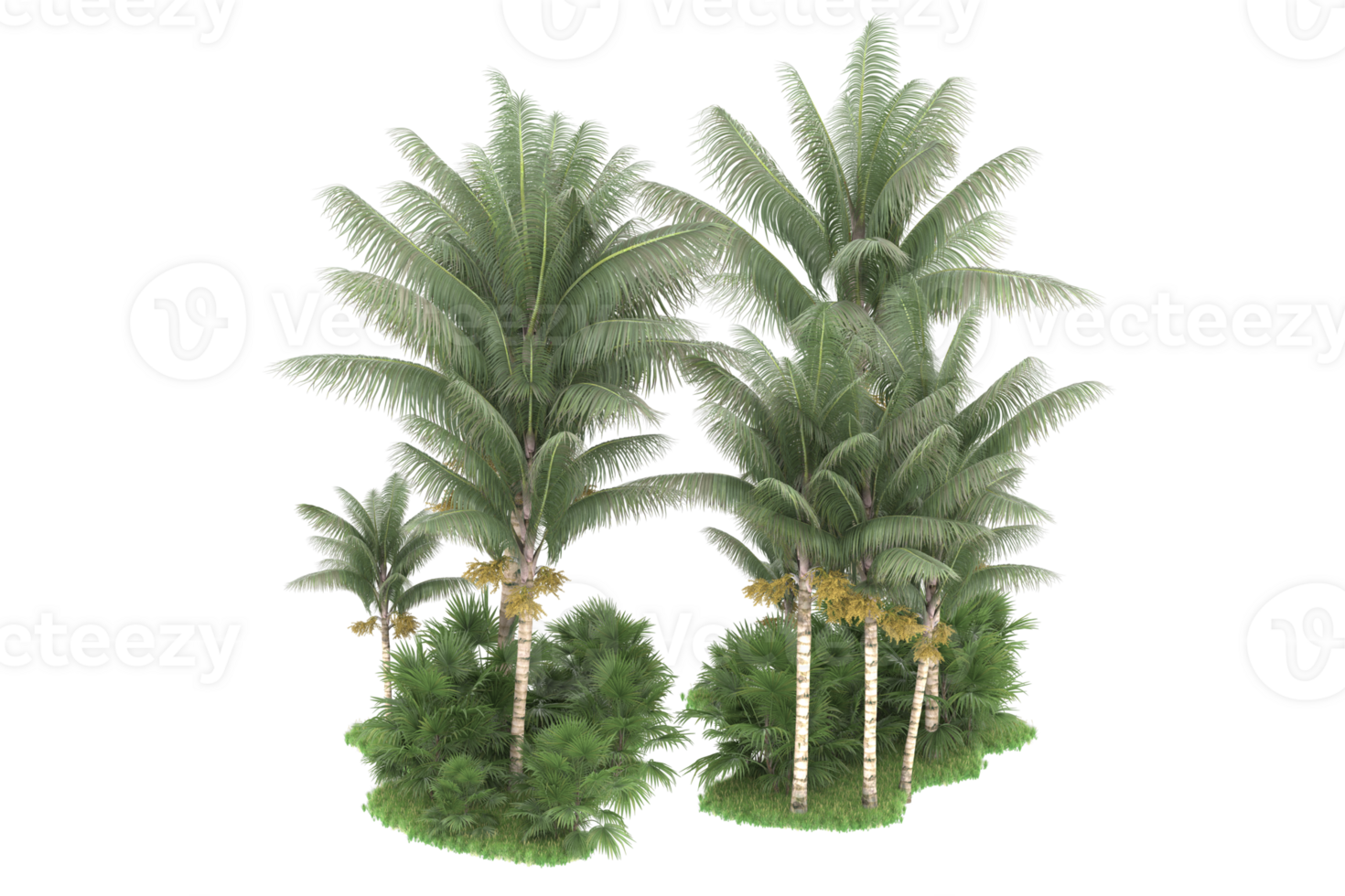 Realistic forest isolated on transparent background. 3d rendering - illustration png