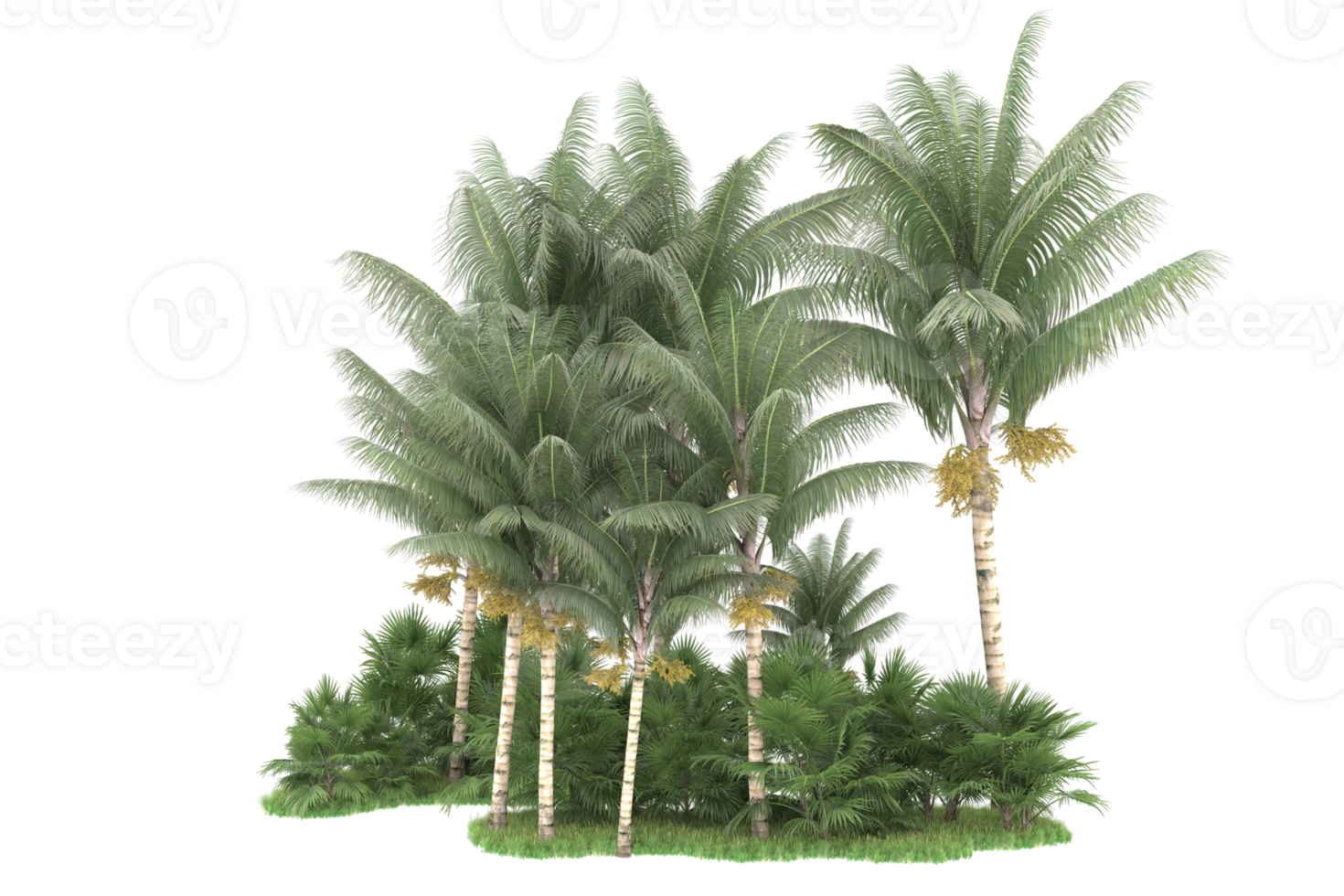 Realistic forest isolated on transparent background. 3d rendering - illustration png