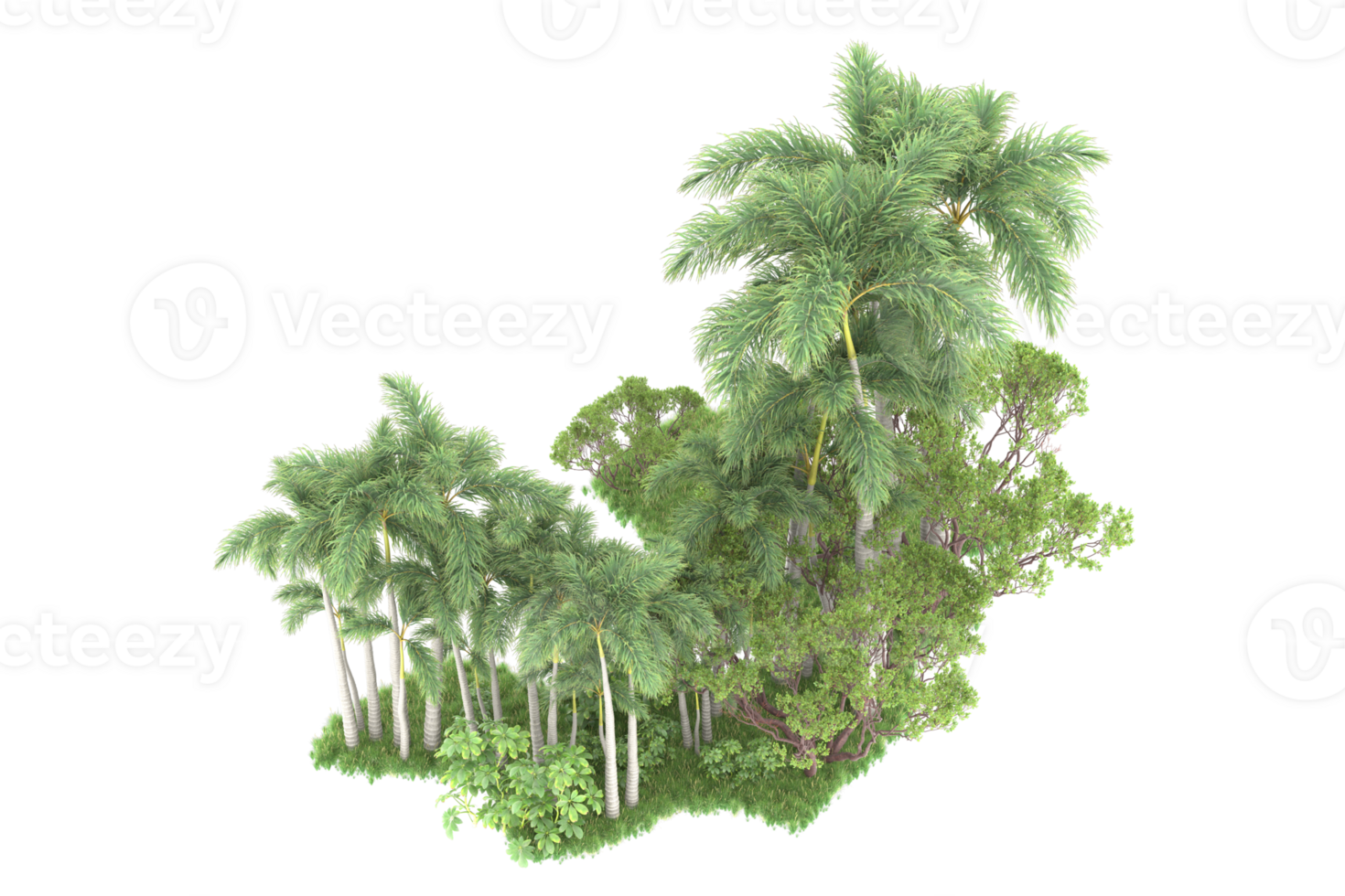 Realistic forest isolated on transparent background. 3d rendering - illustration png