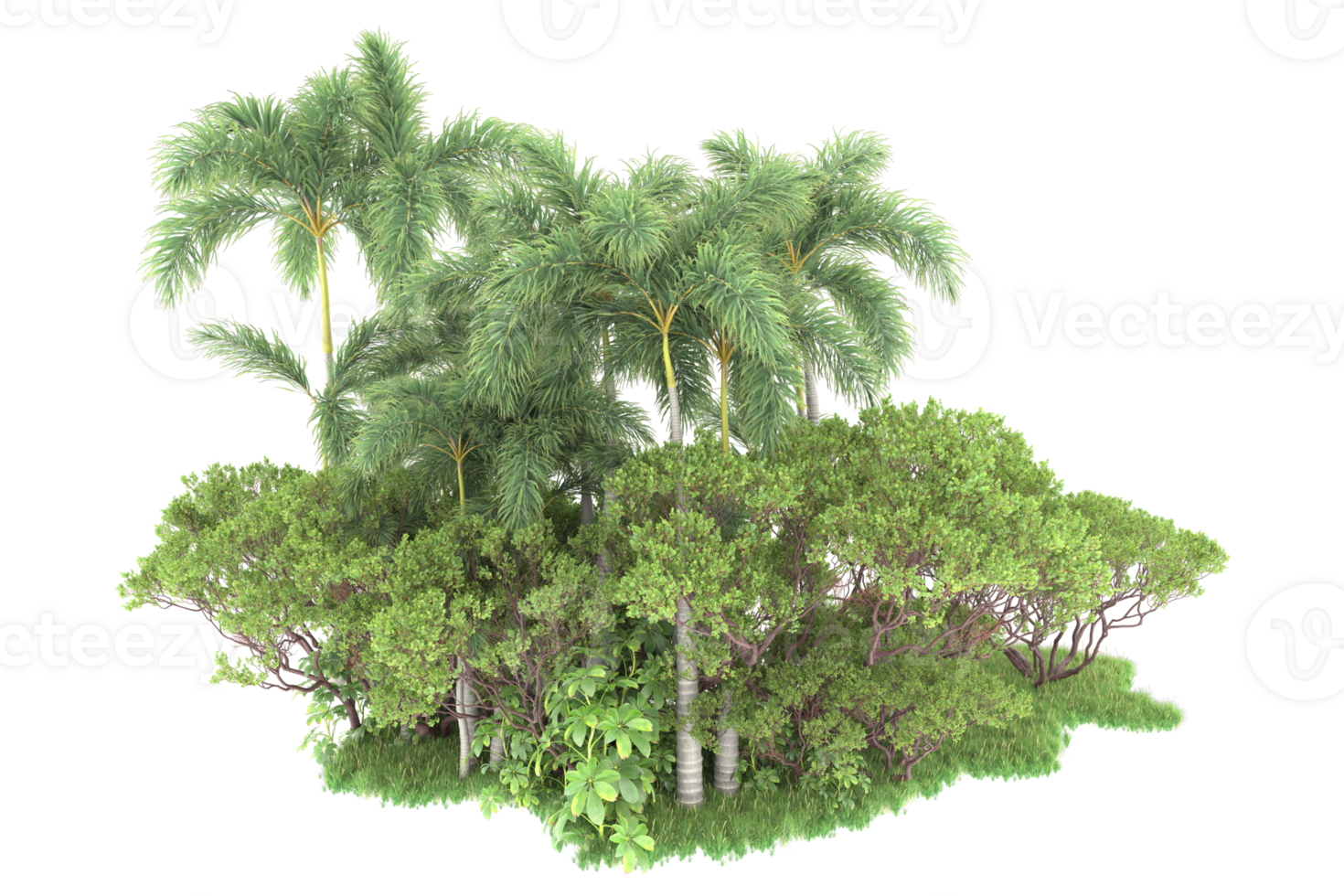 Realistic forest isolated on transparent background. 3d rendering - illustration png