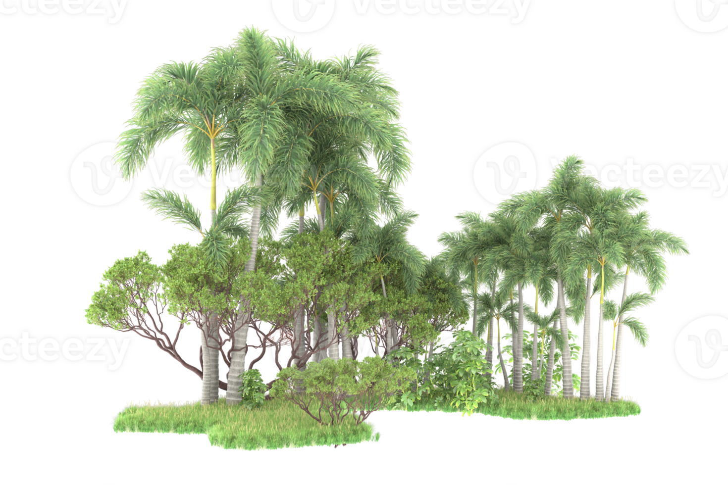 Realistic forest isolated on transparent background. 3d rendering - illustration png