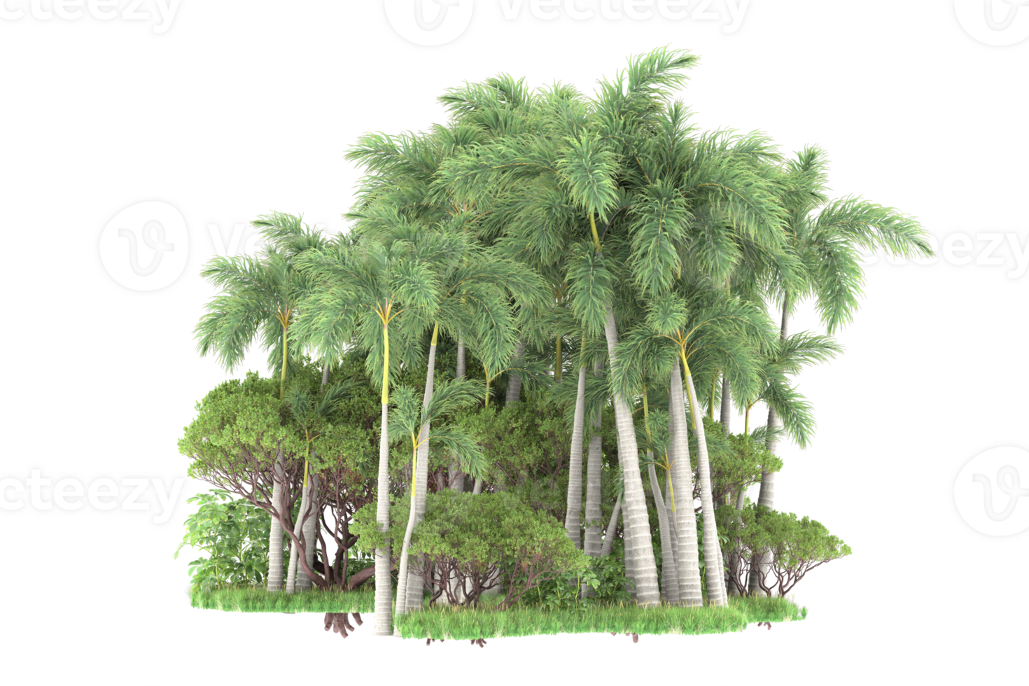 Realistic forest isolated on transparent background. 3d rendering - illustration png