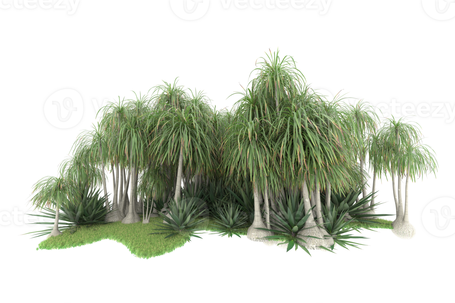 Realistic forest isolated on transparent background. 3d rendering - illustration png