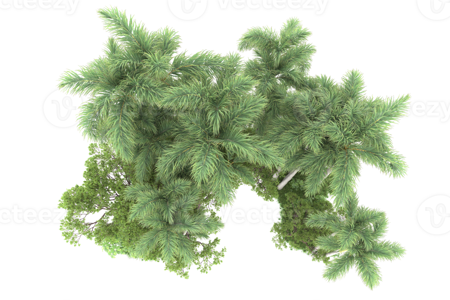 Realistic forest isolated on transparent background. 3d rendering - illustration png