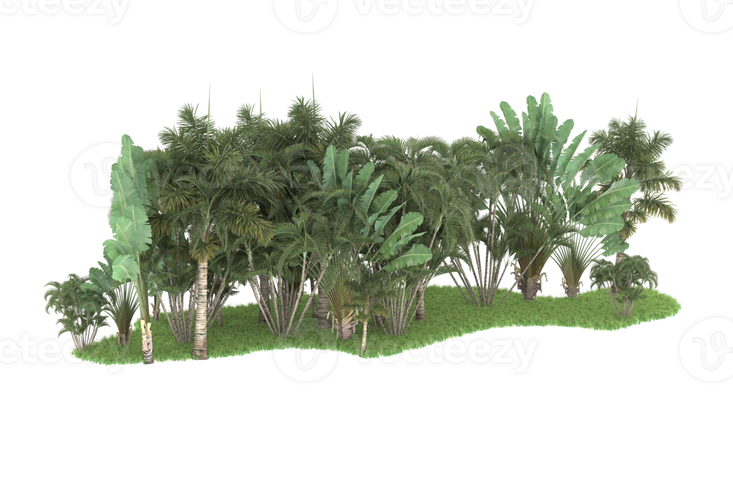 Realistic forest isolated on transparent background. 3d rendering - illustration png