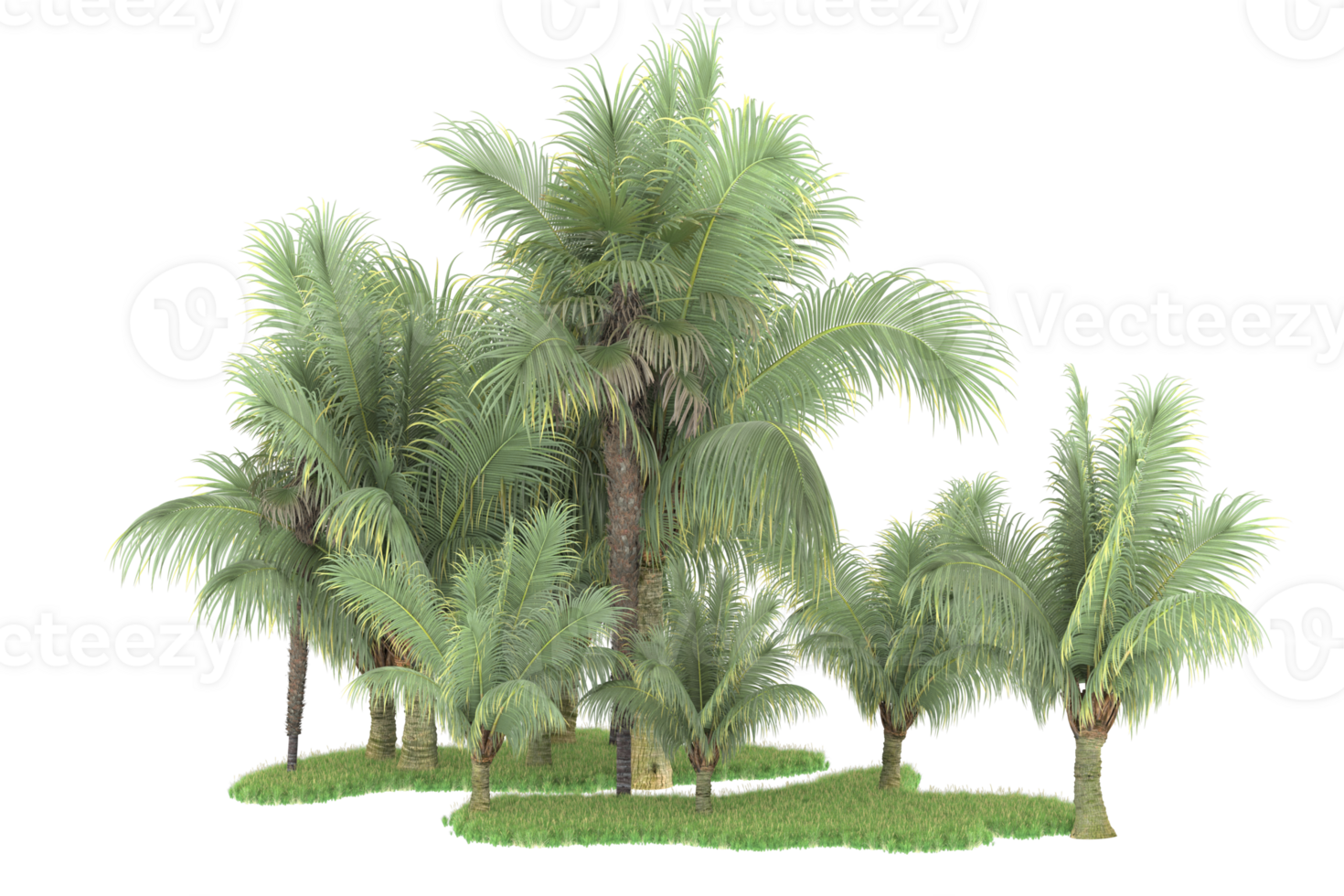 Realistic forest isolated on transparent background. 3d rendering - illustration png