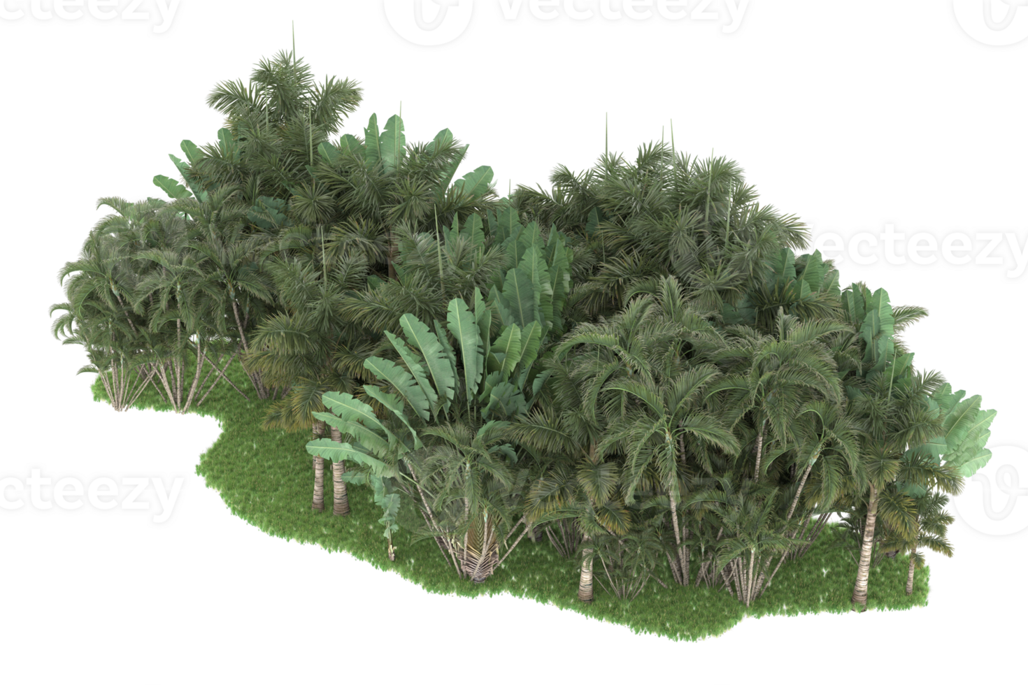 Realistic forest isolated on transparent background. 3d rendering - illustration png