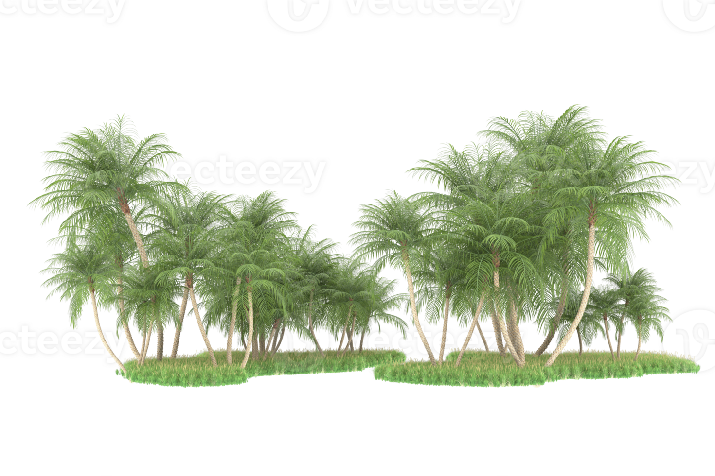 Realistic forest isolated on transparent background. 3d rendering - illustration png