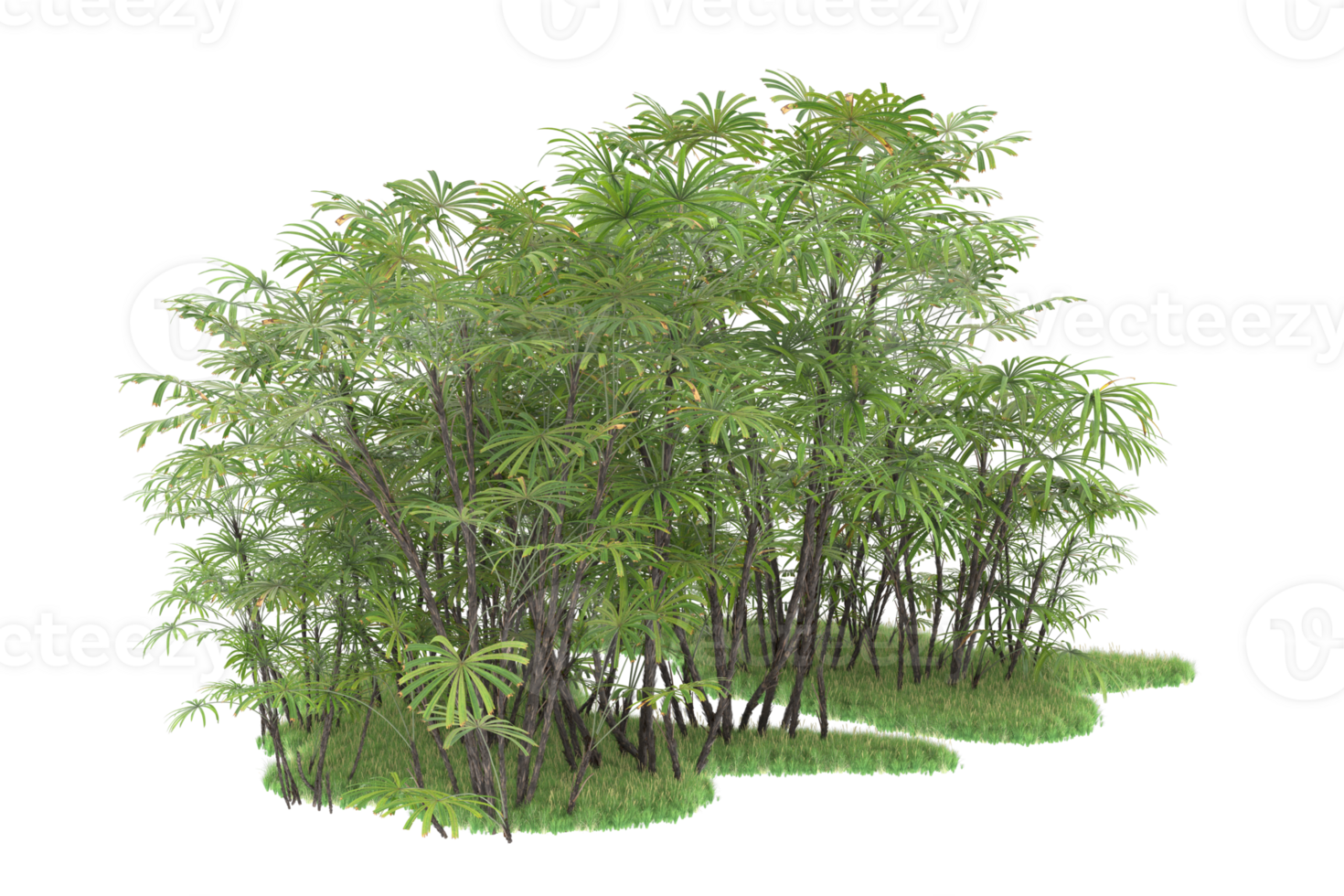 Realistic forest isolated on transparent background. 3d rendering - illustration png
