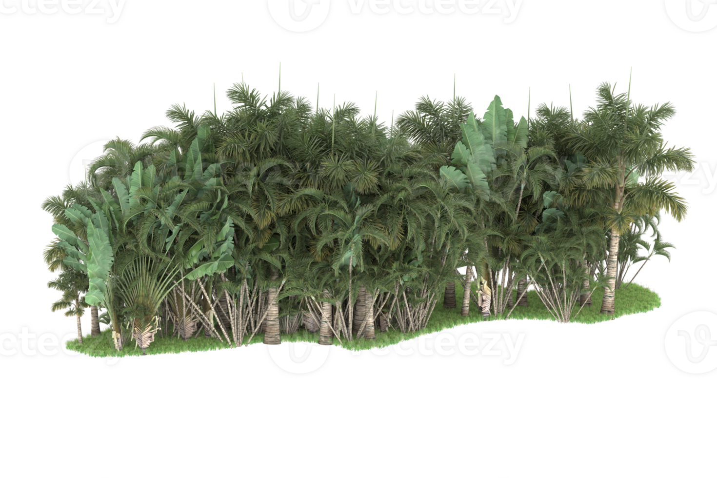 Realistic forest isolated on transparent background. 3d rendering - illustration png