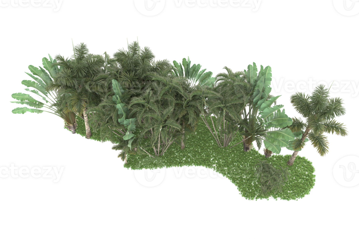 Realistic forest isolated on transparent background. 3d rendering - illustration png