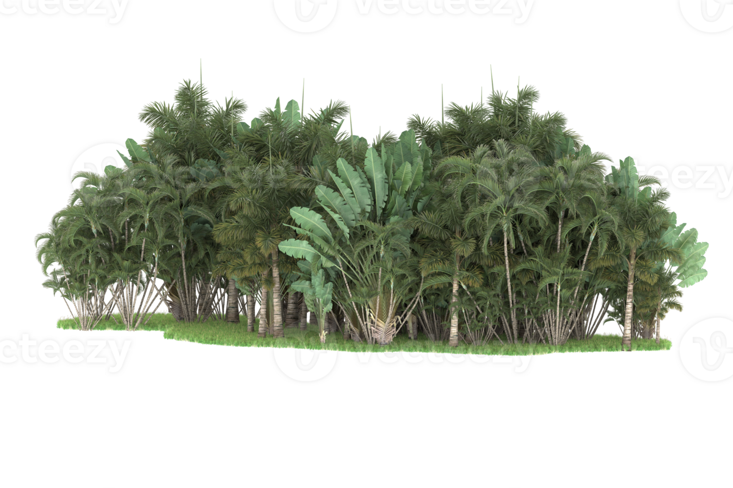 Realistic forest isolated on transparent background. 3d rendering - illustration png