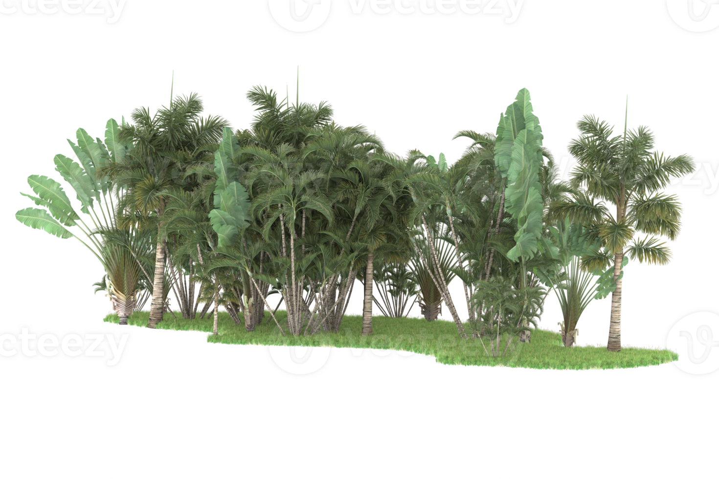 Realistic forest isolated on transparent background. 3d rendering - illustration png