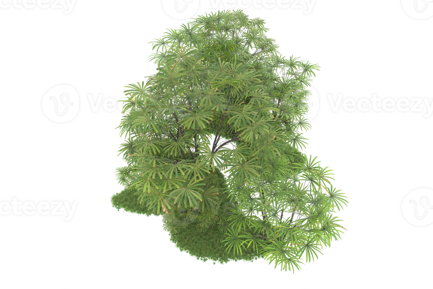 Realistic forest isolated on transparent background. 3d rendering - illustration png