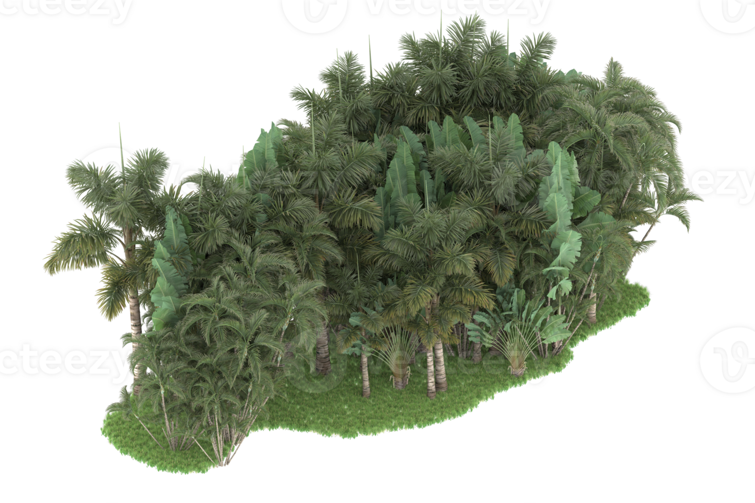Realistic forest isolated on transparent background. 3d rendering - illustration png