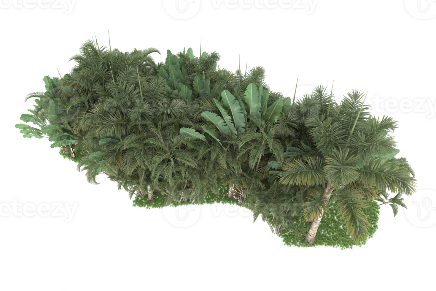 Realistic forest isolated on transparent background. 3d rendering - illustration png