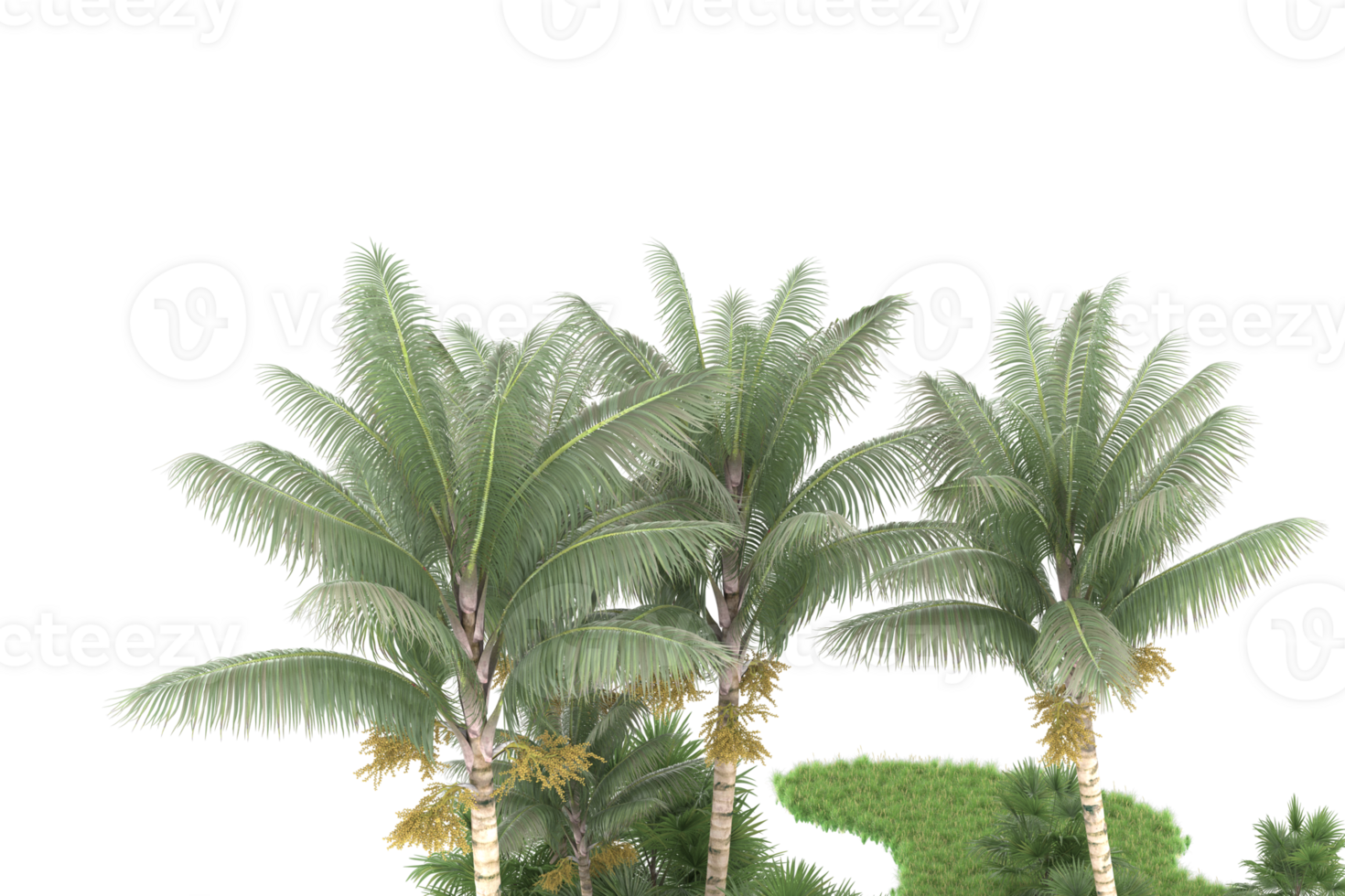 Realistic forest isolated on transparent background. 3d rendering - illustration png