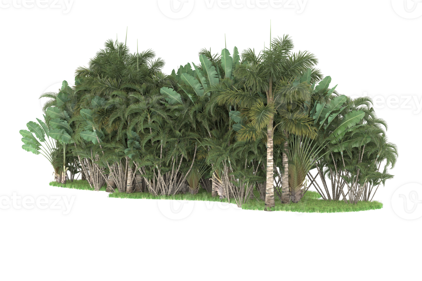 Realistic forest isolated on transparent background. 3d rendering - illustration png