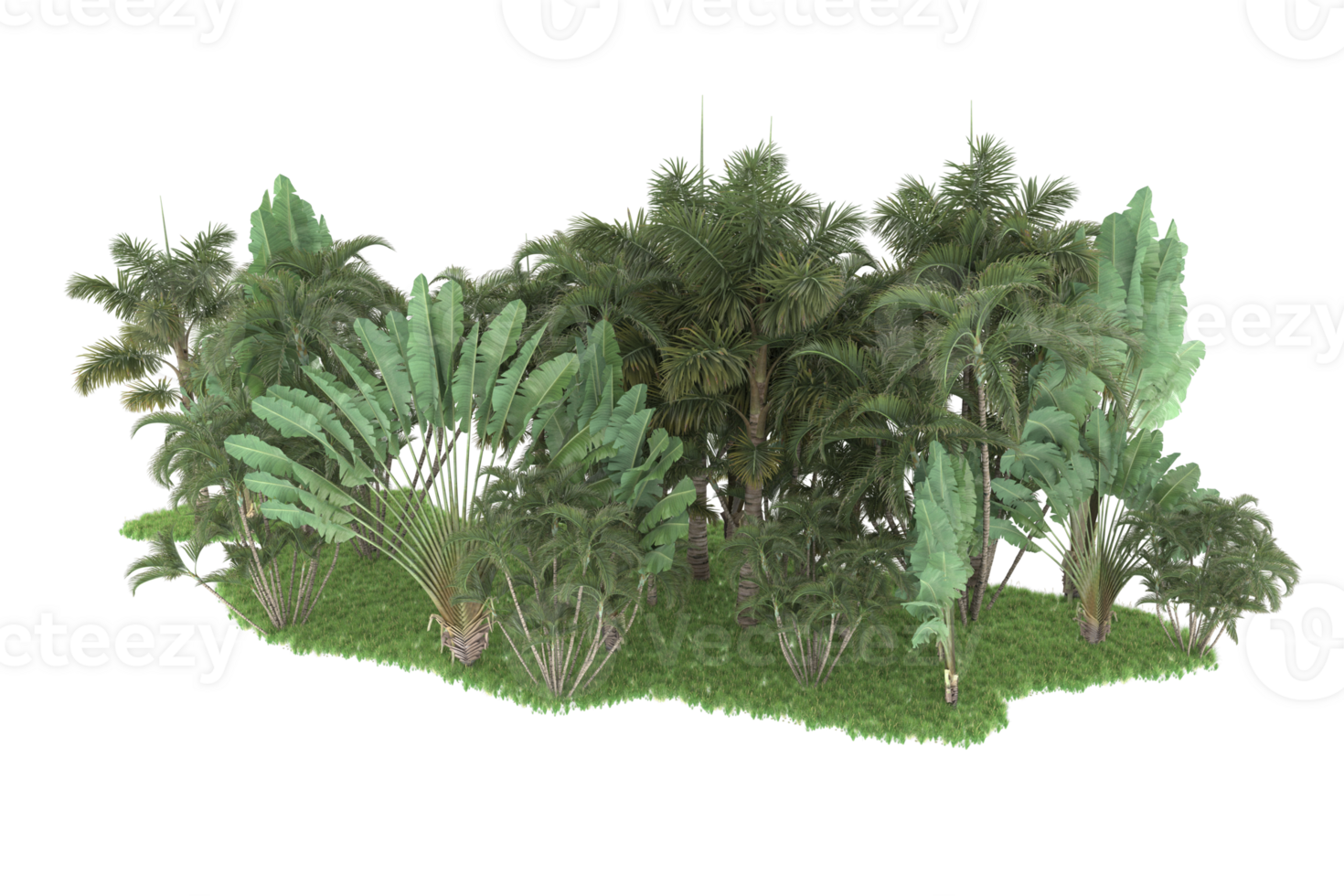 Realistic forest isolated on transparent background. 3d rendering - illustration png