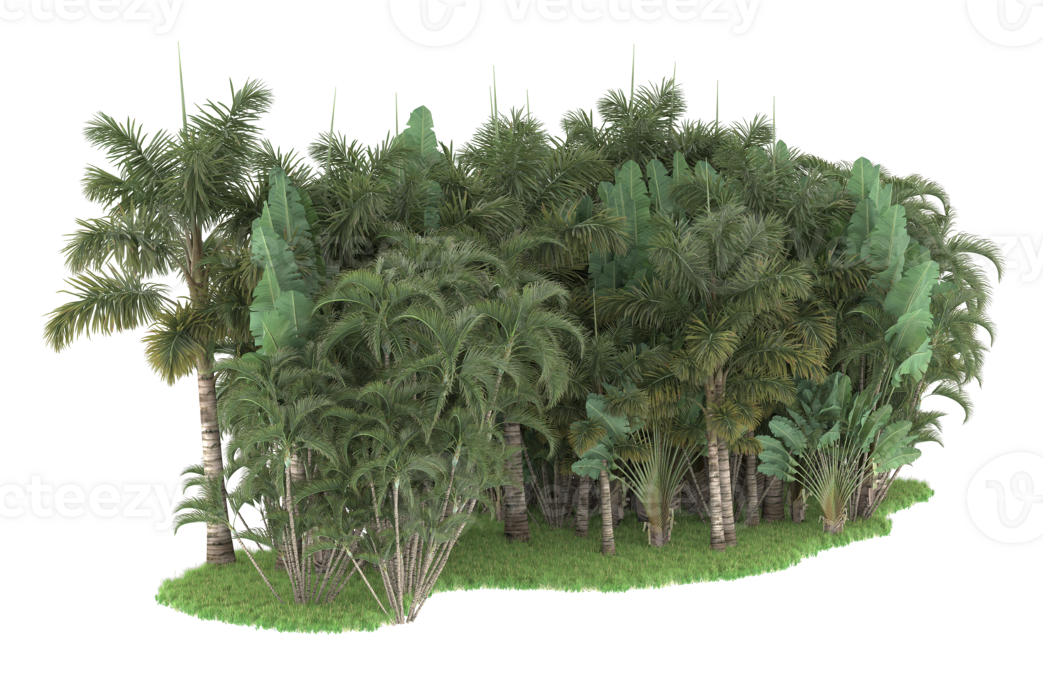 Realistic forest isolated on transparent background. 3d rendering - illustration png