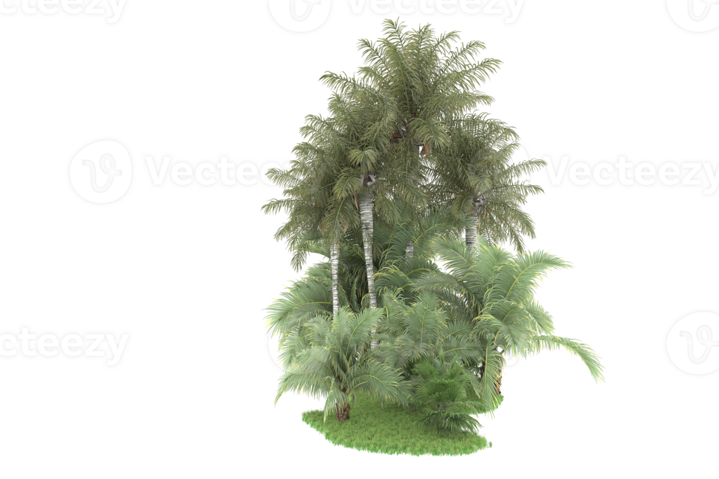 Realistic forest isolated on transparent background. 3d rendering - illustration png