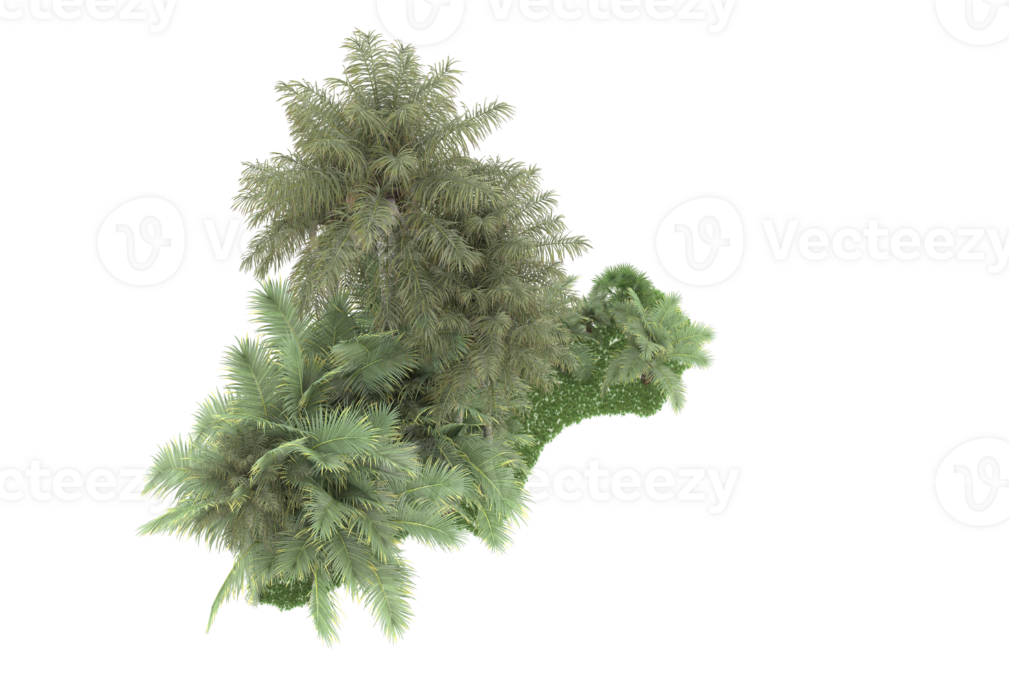 Realistic forest isolated on transparent background. 3d rendering - illustration png