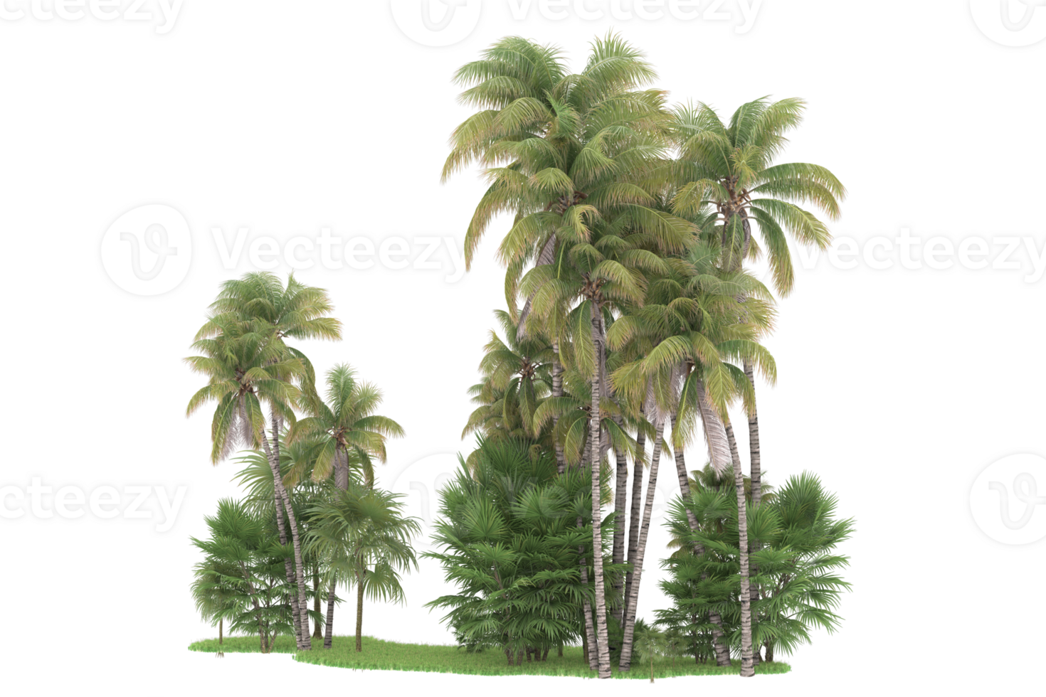 Realistic forest isolated on transparent background. 3d rendering - illustration png