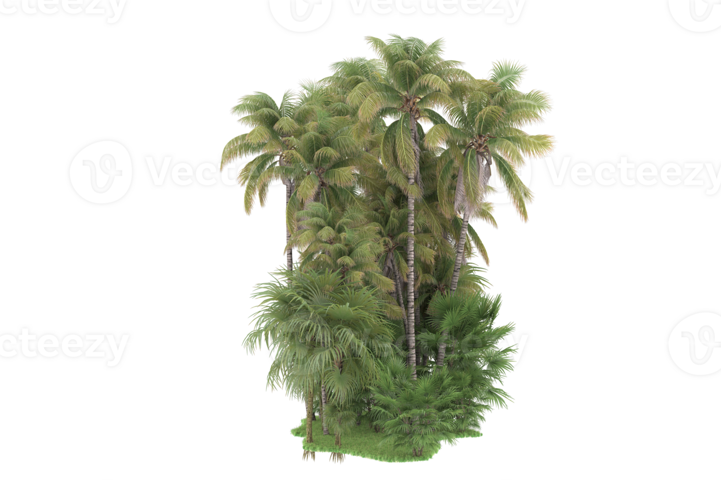Realistic forest isolated on transparent background. 3d rendering - illustration png