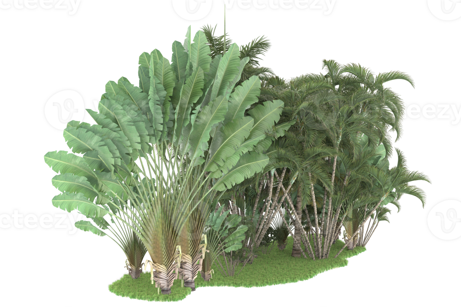 Realistic forest isolated on transparent background. 3d rendering - illustration png