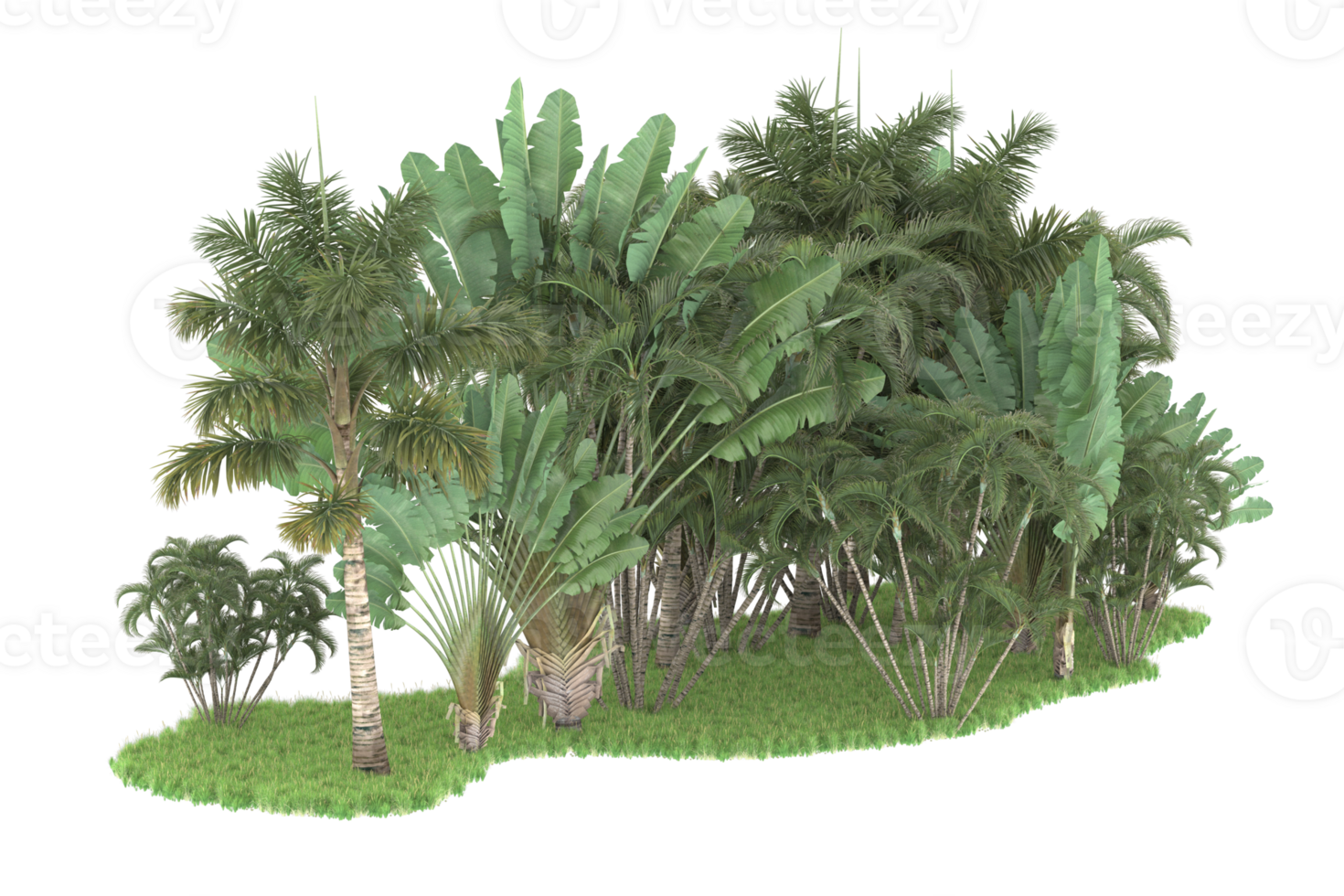 Realistic forest isolated on transparent background. 3d rendering - illustration png