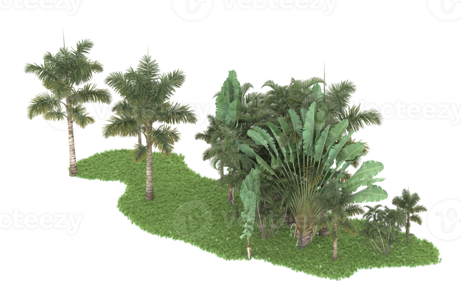 Realistic forest isolated on transparent background. 3d rendering - illustration png