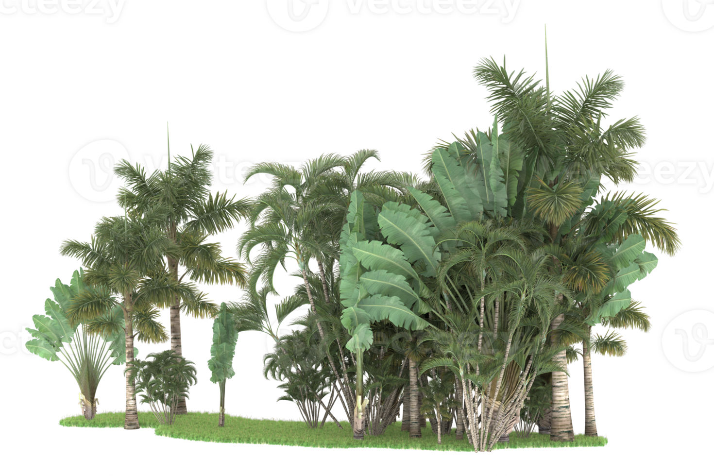 Realistic forest isolated on transparent background. 3d rendering - illustration png