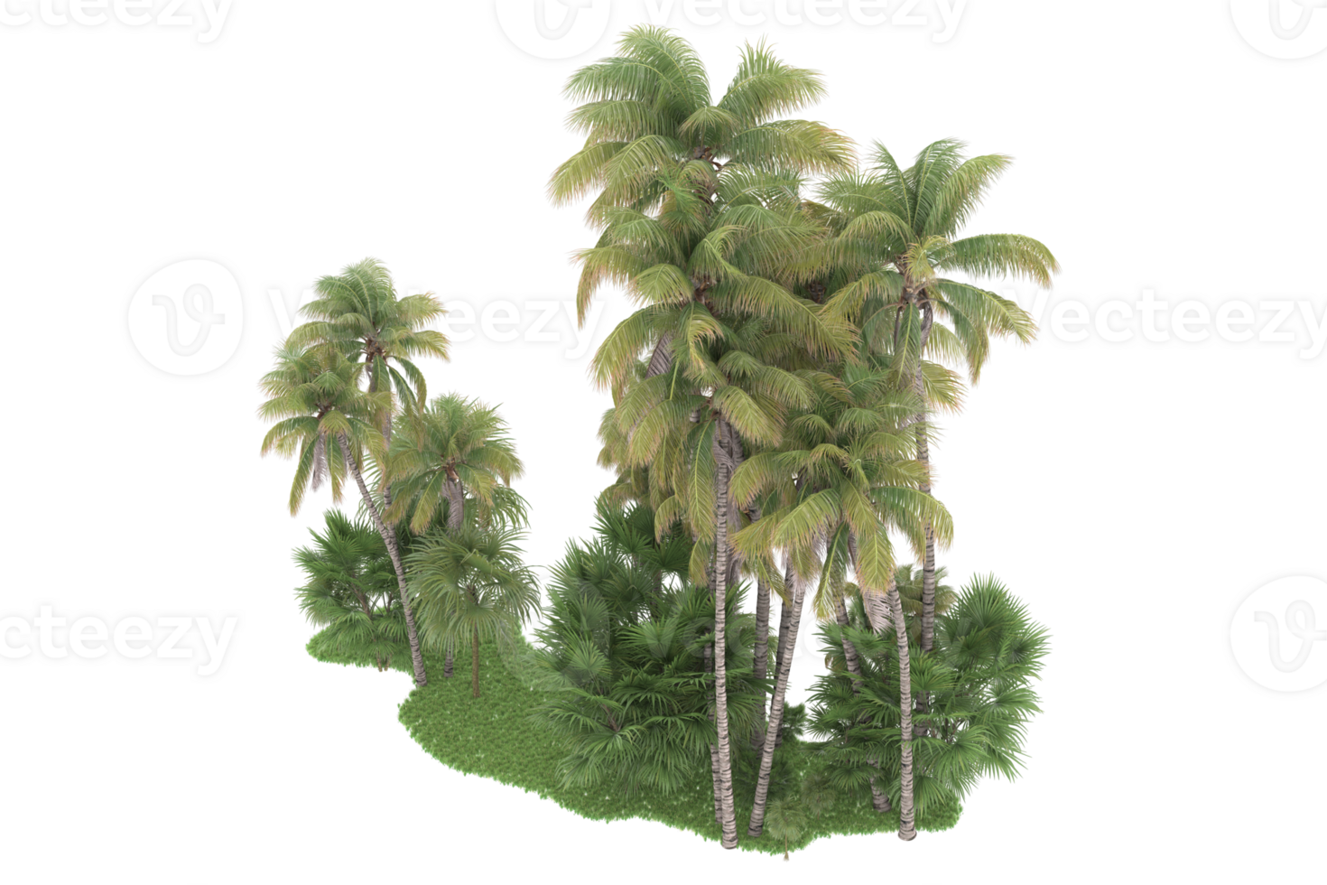Realistic forest isolated on transparent background. 3d rendering - illustration png